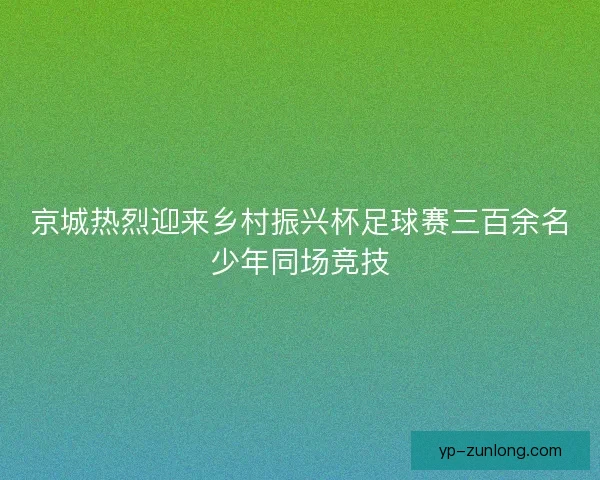 京城热烈迎来乡村振兴杯足球赛三百余名少年同场竞技 京城热烈迎来乡村振兴杯足球赛三百余名少年同场竞技